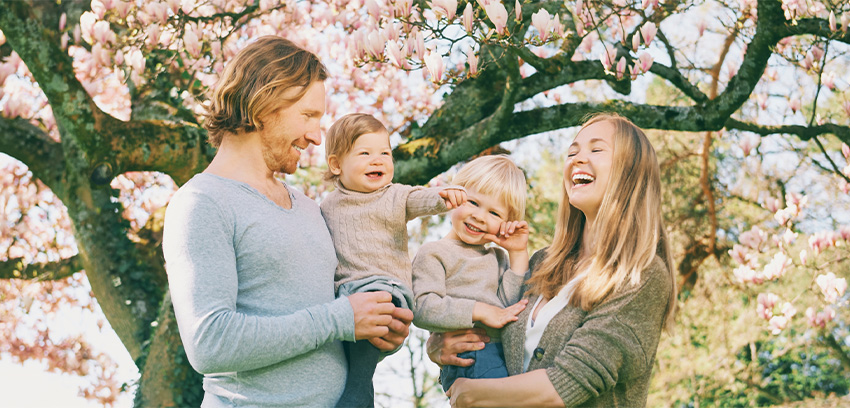 Life Spring Banner Life Spring Banner