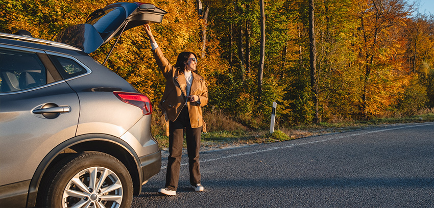 Fall_banner_auto