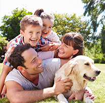 Life Insurance